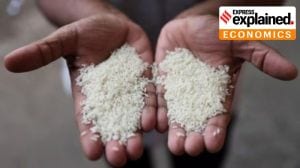 How Trump’s new Iran tariff has taken the aroma off India’s basmati exports