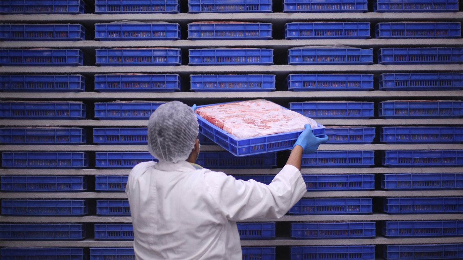 Beef linked to slaughterhouse under BJP jurisdiction becomes headache for party in Madhya Pradesh