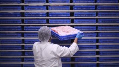 Beef linked to slaughterhouse under BJP jurisdiction becomes headache for party in Madhya Pradesh