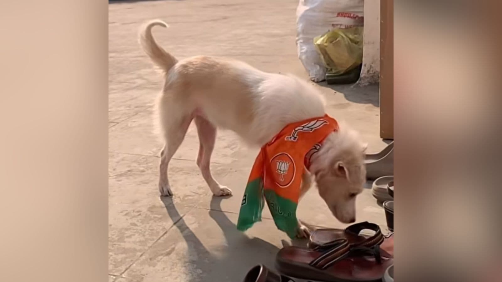 Pune Municipal Corporation elections, Instagram-worthy, tech-savvy,