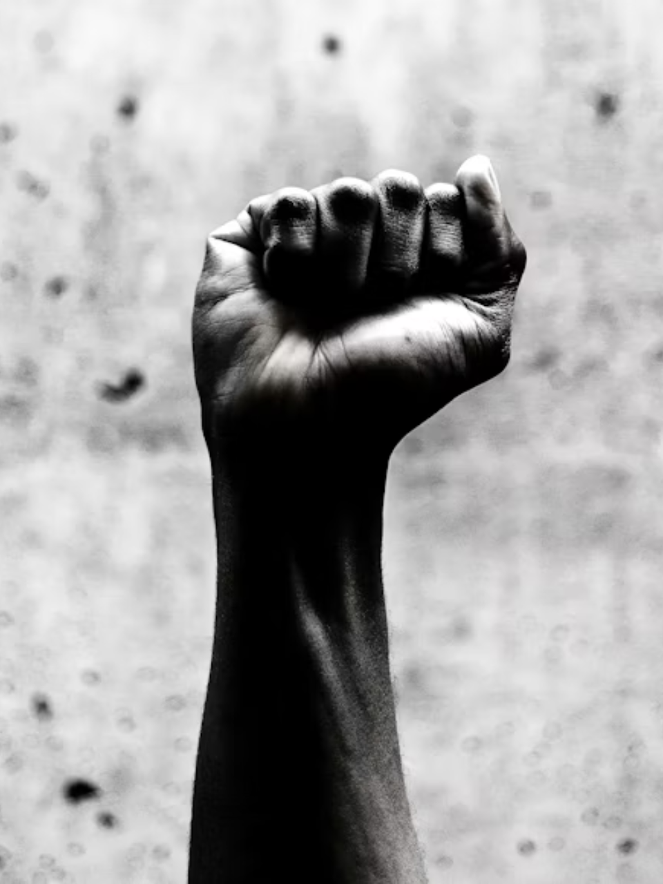 8 Essential Books to Read for Black History Month Celebration