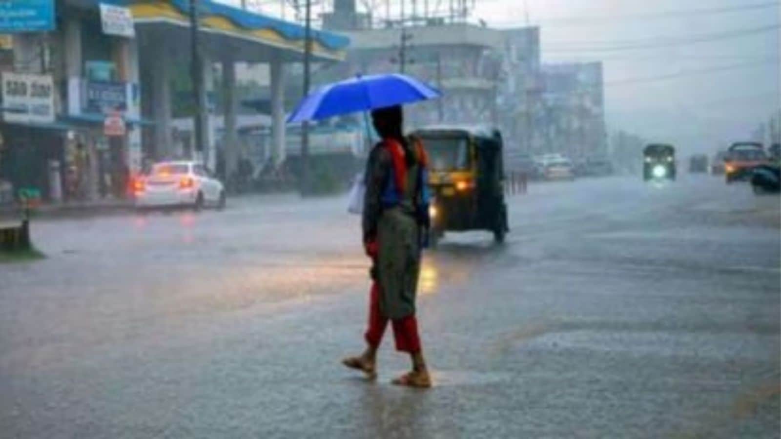 Umbrellas out, Bengaluru: Light rain likely in city ahead of Makar Sankranti as maximum temperature dips