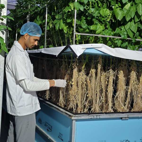 Instead of taking loans to settle abroad or selling family land, he chose to stay and invest a substantial amount in agriculture.