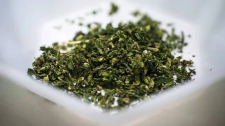 marijuana inside boxes of cashew nuts, Interstate cannabis racket, Interstate cannabis racket busted, Interstate cannabis racket busted in Delhi, delhi news, India news, Indian express, current affairs