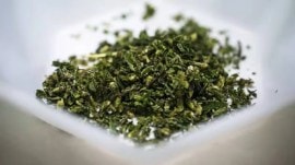 marijuana inside boxes of cashew nuts, Interstate cannabis racket, Interstate cannabis racket busted, Interstate cannabis racket busted in Delhi, delhi news, India news, Indian express, current affairs