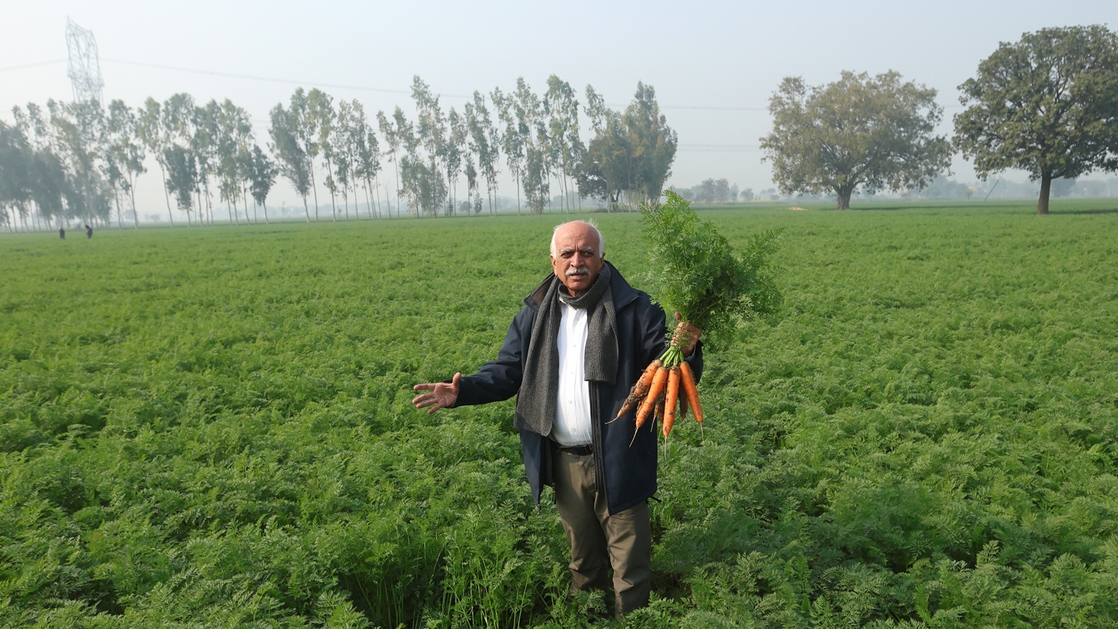 Big Picture | A carrot story: How a former Armyman turned Sikandrabad into ...