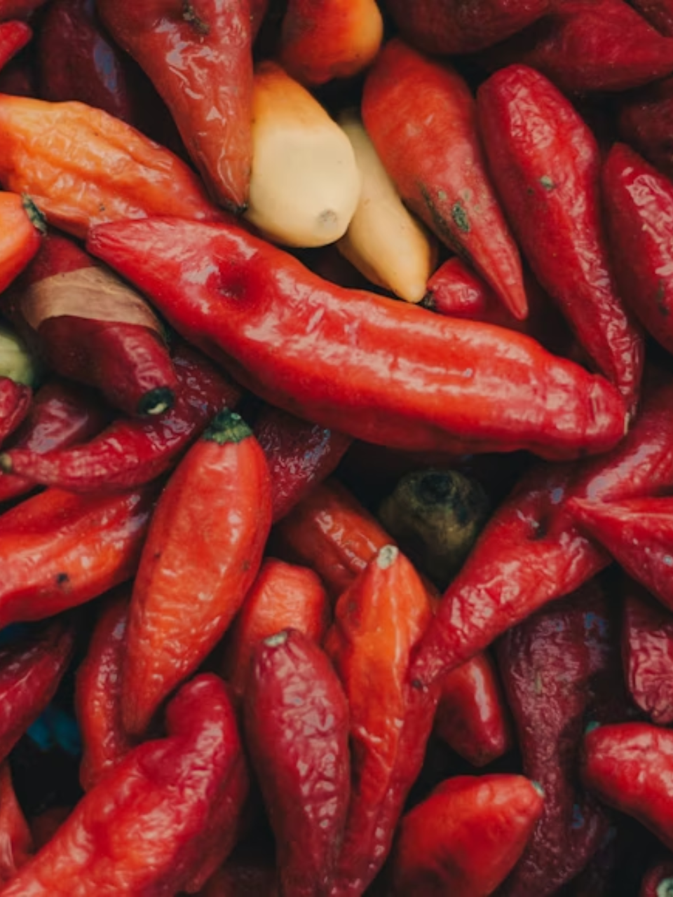 Eight Fiery Chilli Dishes You Must Experience in Indian Cuisine