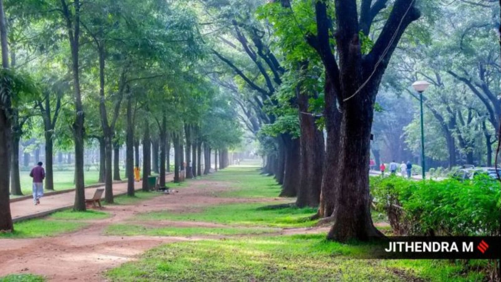 Cubbon Park Walkers’ Association gets Bengaluru police notice for opposing Pinkathon 2026: ‘Will take legal route’