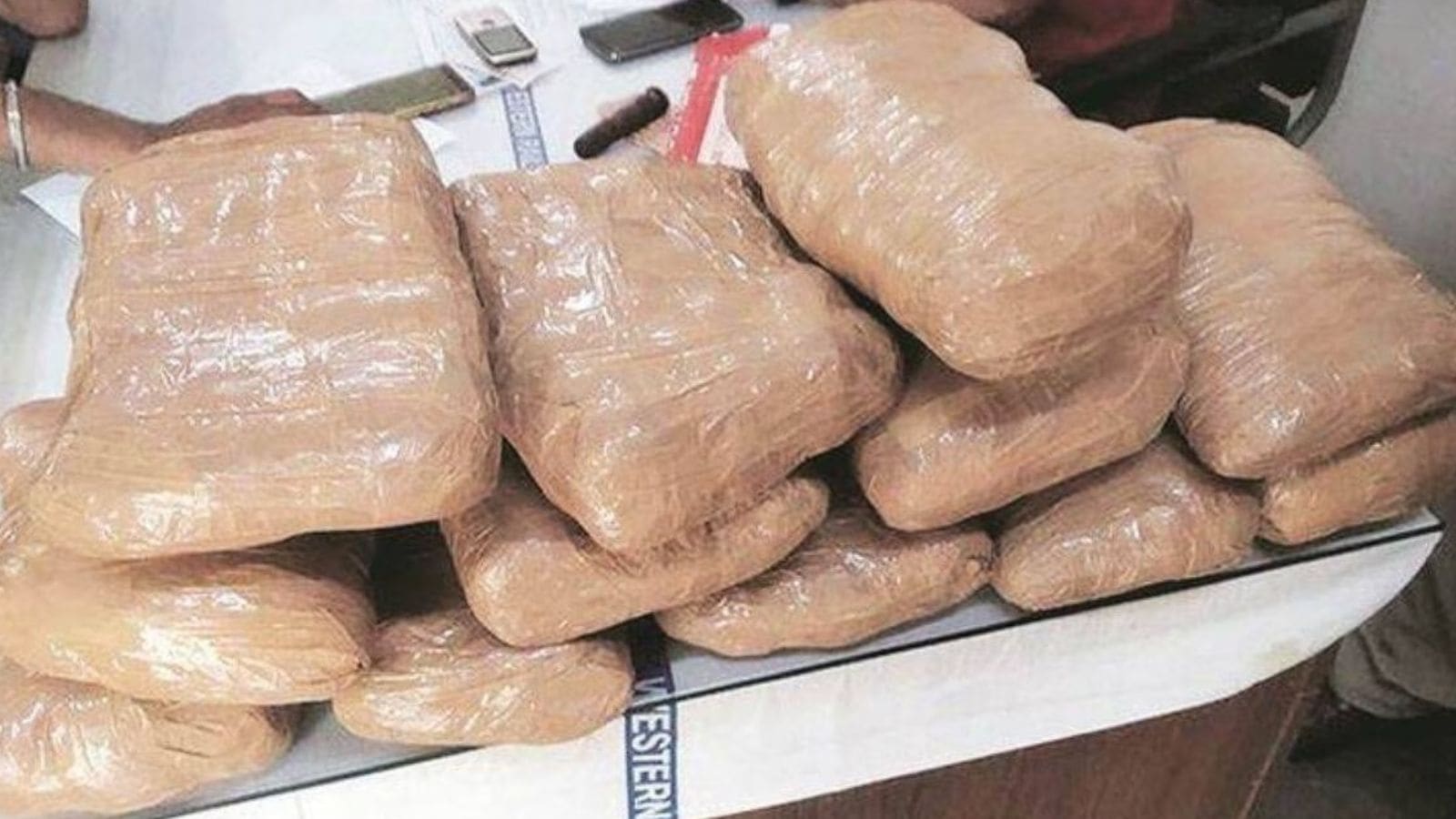 Himachal notifies law to bar drug traffickers from contesting panchayat elections
