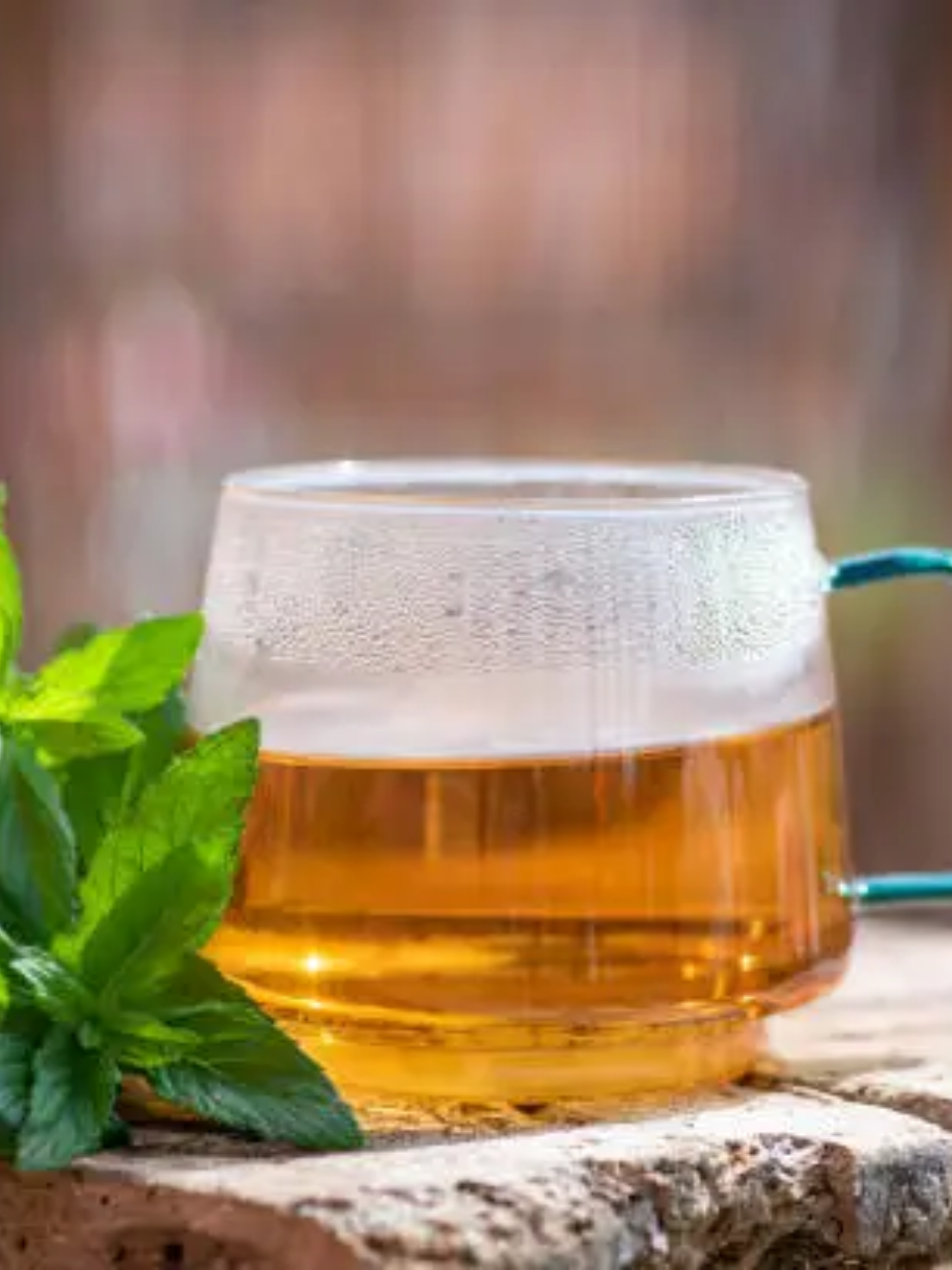 The World's Most Expensive Teas: From Gold Leaves to Rare Harvests