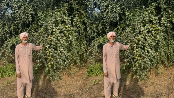 Farmer Bhola Singh (Express Photo)