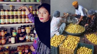 farmers column: How a marginal woman farmer and her husband from Patiala rewrote their destiny in 6 years