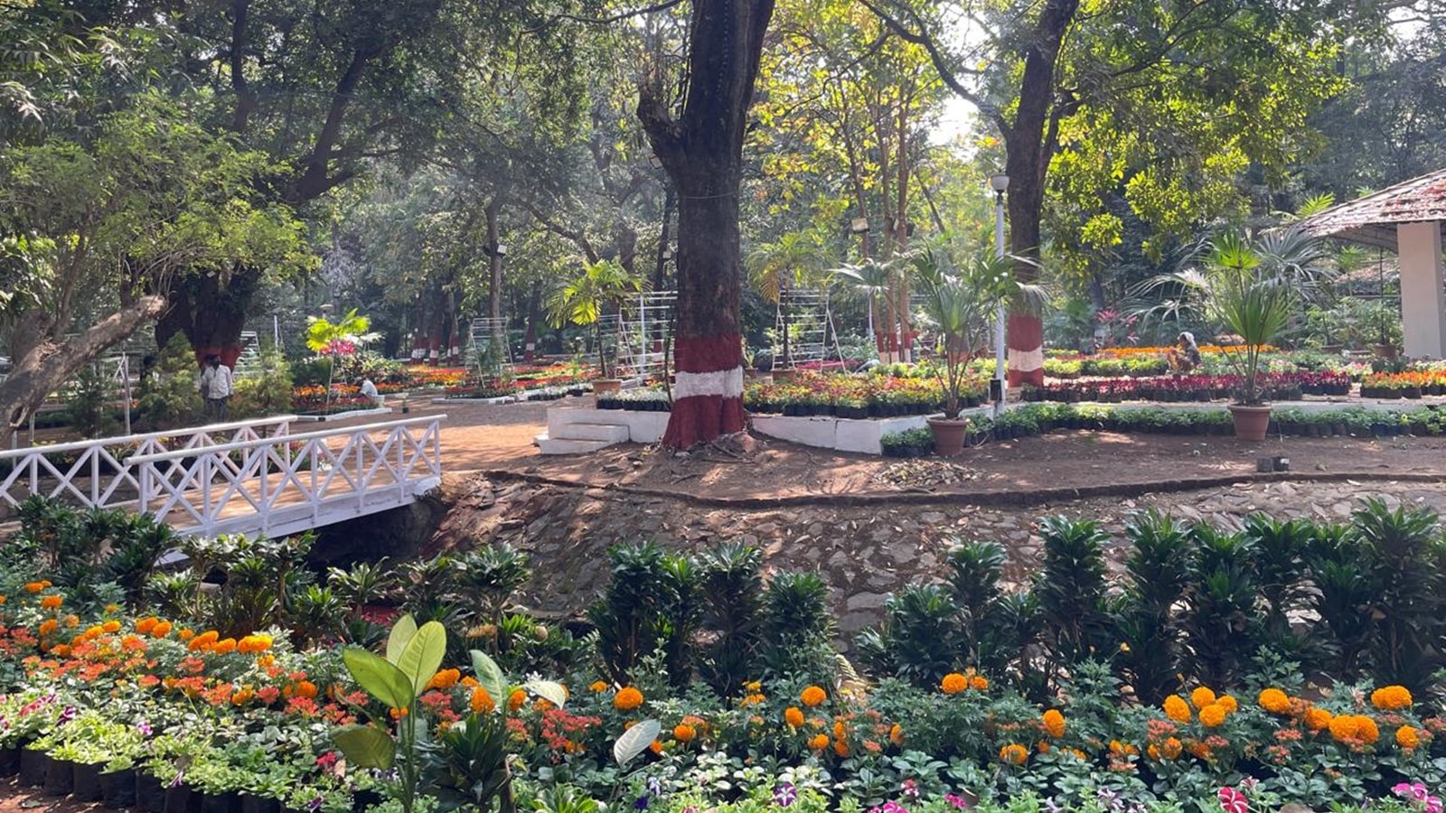 Empress Garden flower show starts Jan 23 to pay tribute to Padma Bhushan Gadgil