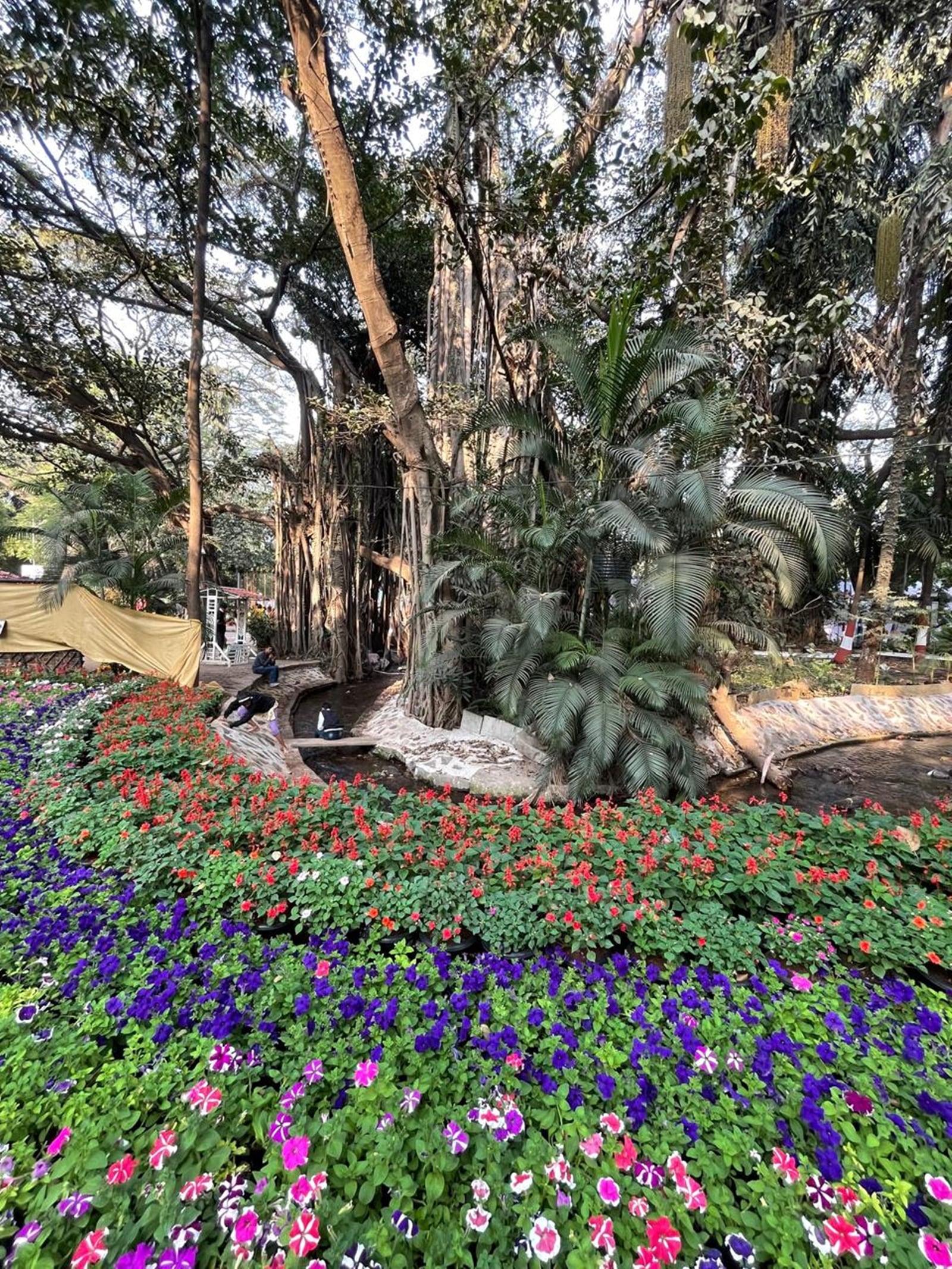 flower exhibition 2026