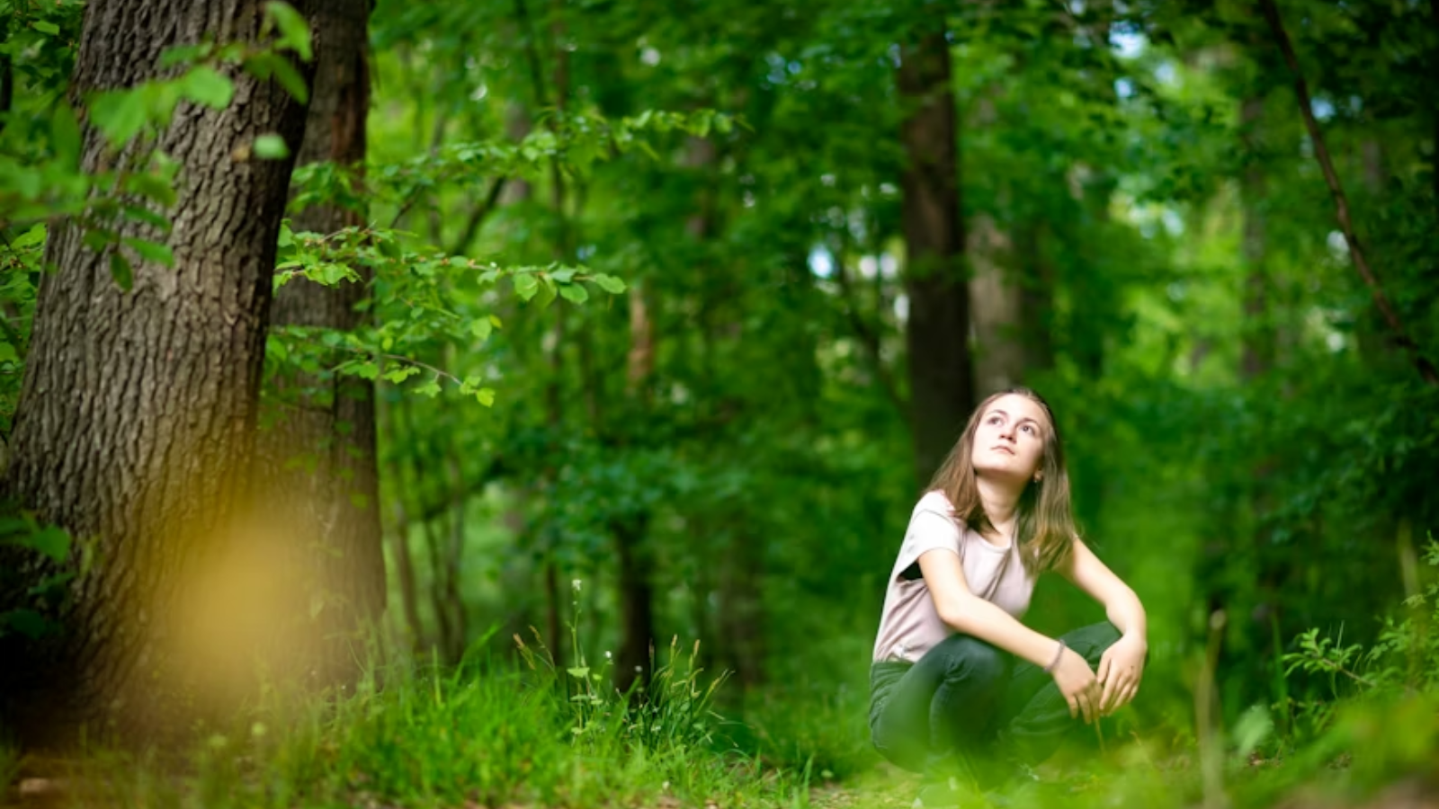 Discover Forest Bathing: The Japanese Art of Nature Immersion for Wellness