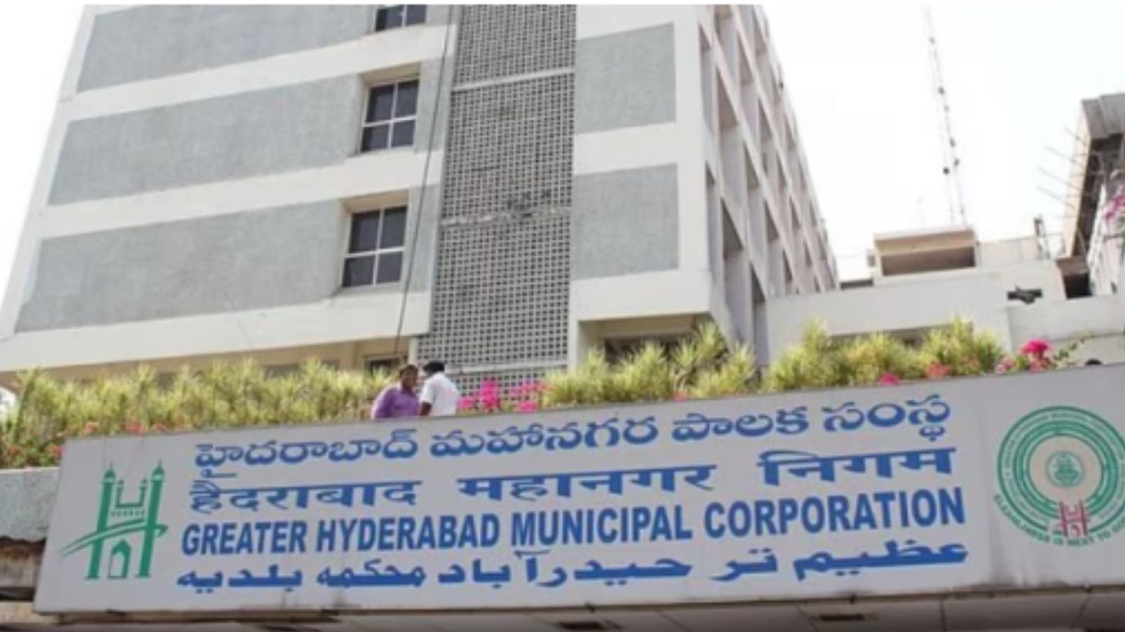 Telangana HC Directs Pigeon Menace Petitioner to Approach GHMC First