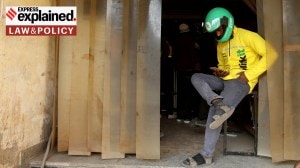 Economic Survey pushes for policy that makes gig work a choice, setting minimum per hour or task earnings