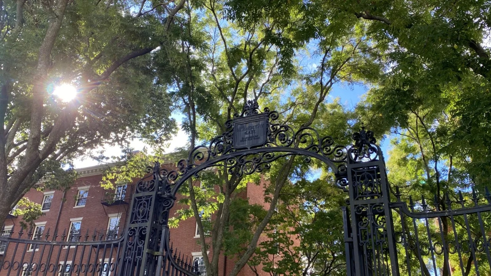 Enrollment of Indian students see a decline at Harvard University