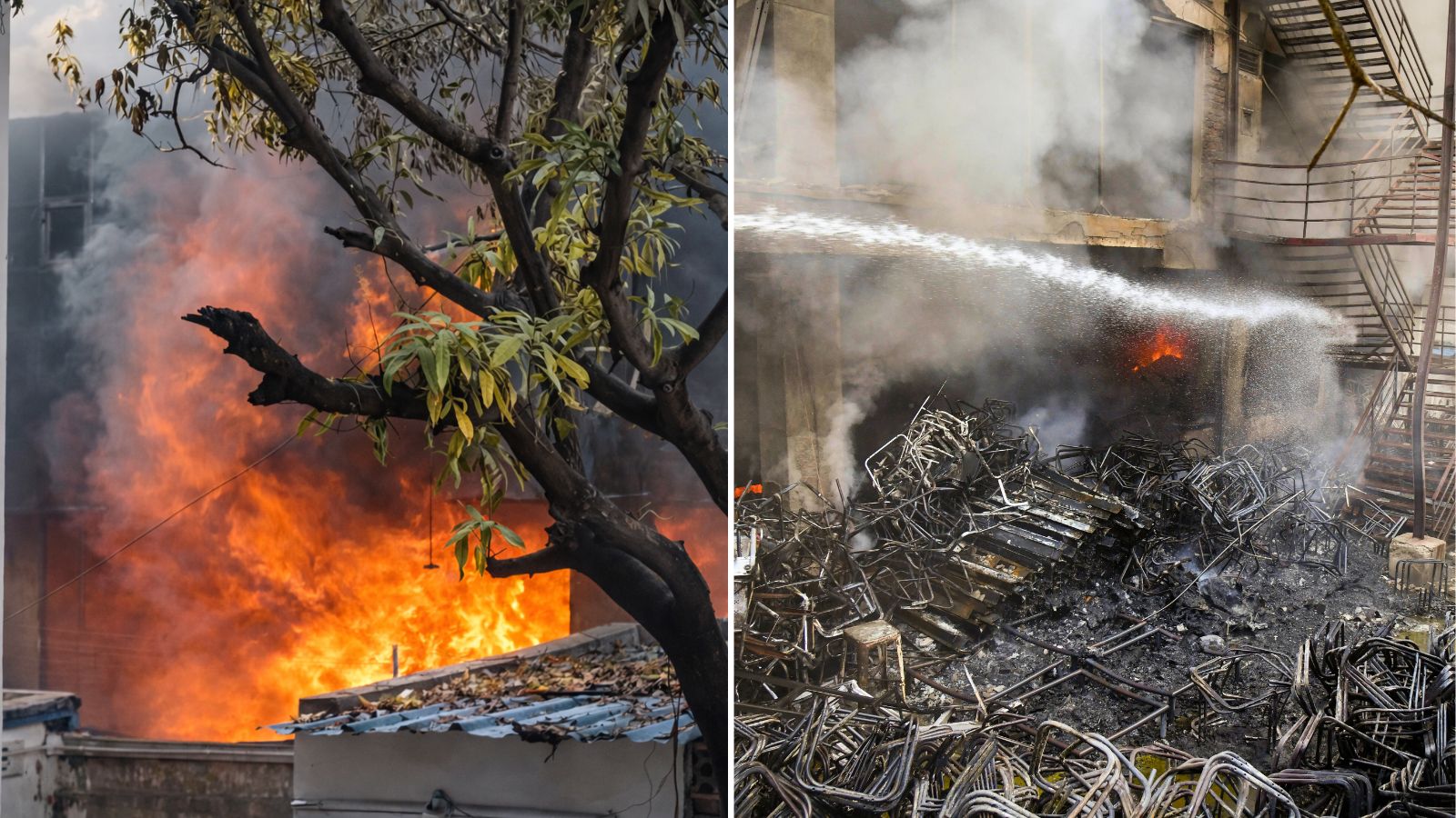 The Art of Baking: From Classic Bread to Artisan Pastries