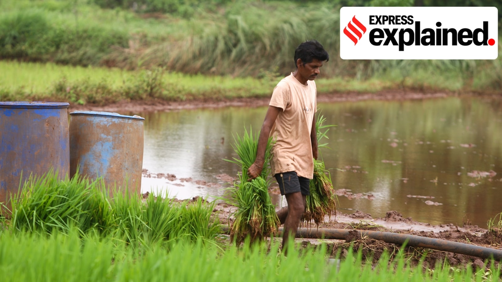 Why EU deal is better for farmers than one with US