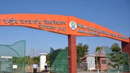 indira gandhi tribal university