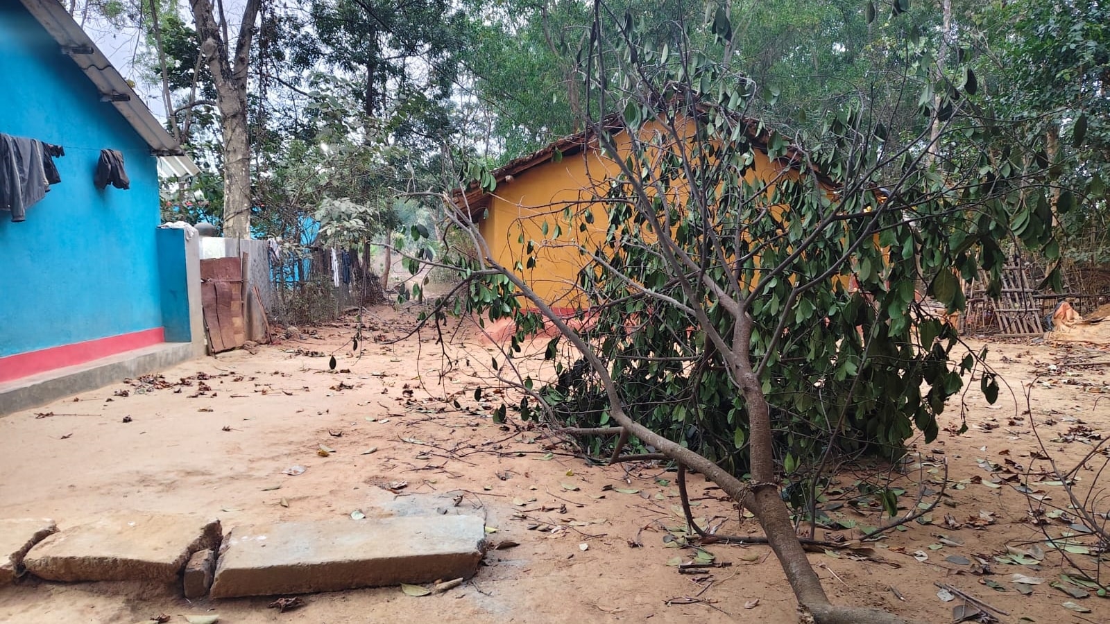 Inside the hunt for an elephant that has claimed 20 lives in Jharkhand