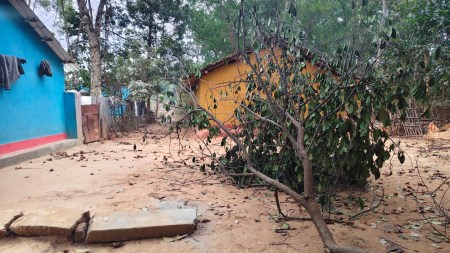 Inside the hunt for an elephant that has claimed 20 lives in Jharkhand