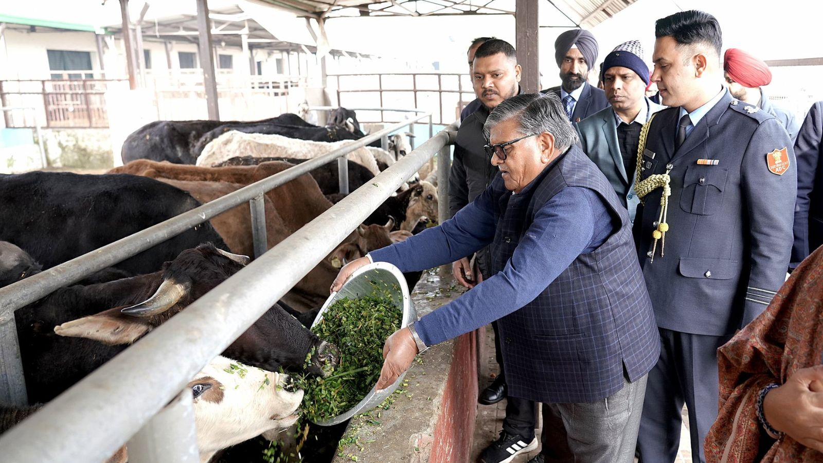 Display details of manpower deployment prominently at each gaushala: Gulab Chand Kataria