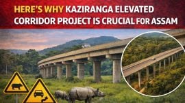 On completion, the Kaziranga Elevated Corridor is expected to play an important role in economic growth of the region. (Image generated using AI)