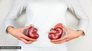 kidney health