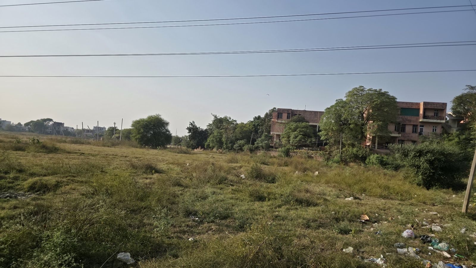 NCP manifesto: Tax waiver for 700 sq ft Mumbai homes, 10 lakh trees to curb pollution