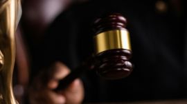 ‘English is the official language of court’: Gujarat HC dismisses man’s plea to appear for himself