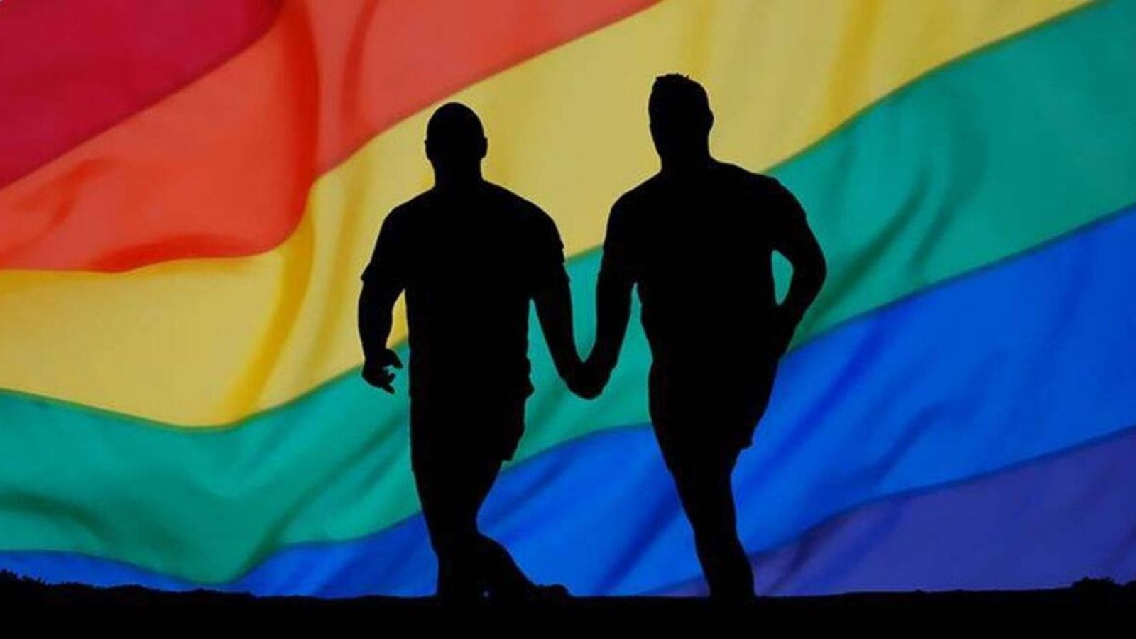 ‘Fear for life in home country’: Syrian LGBTQ+ man moves Gujarat HC seeking long-term visa