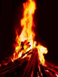lohri
