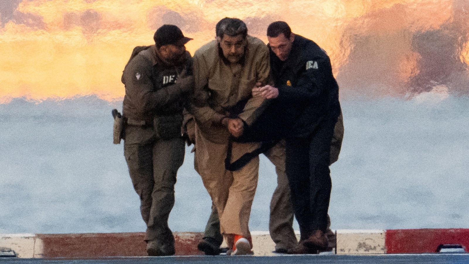 SC: Stray Dogs in Public Institutions a Danger; Animal Groups Protest