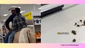 The situation escalated when the horse defecated several times on the store’s floor