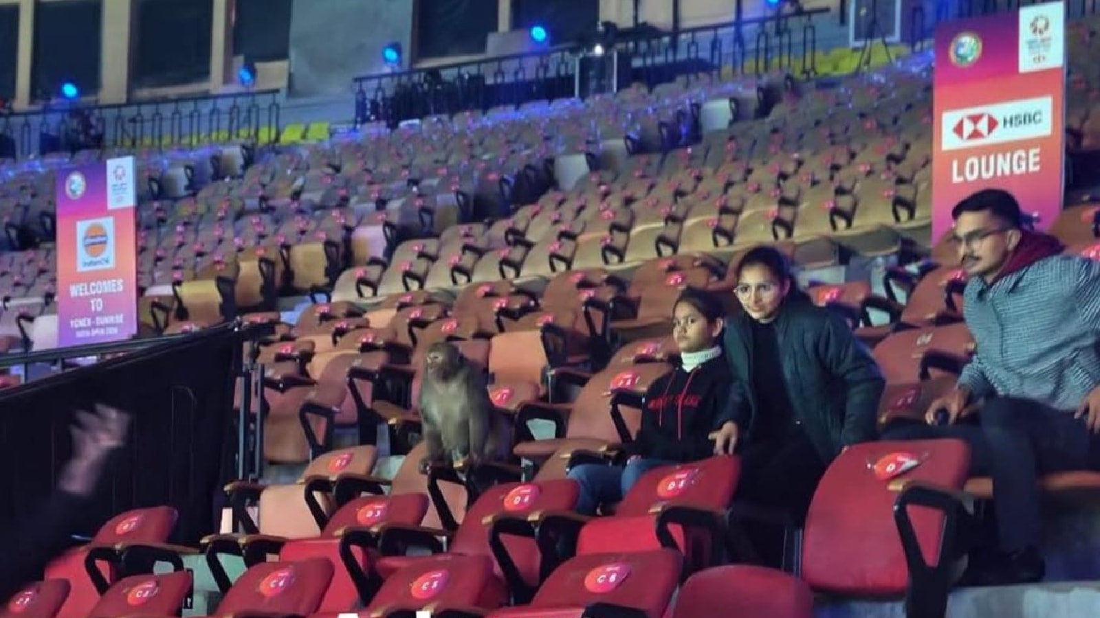 After bird-poop complaints, monkey spotted at India Open badminton