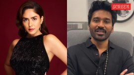 Mrunal Thakur shared a cryptic post amid wedding rumours with Dhanush