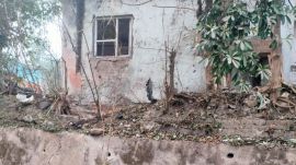 According to the police, the impact of the explosion was felt within a radius of nearly 40 to 50 metres. A small hole was also formed at the spot where the blast occurred, indicating the intensity of the explosion.