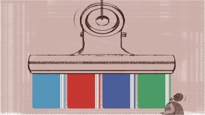 Yogendra Yadav writes: Reading India’s political mood at the World Book Fair