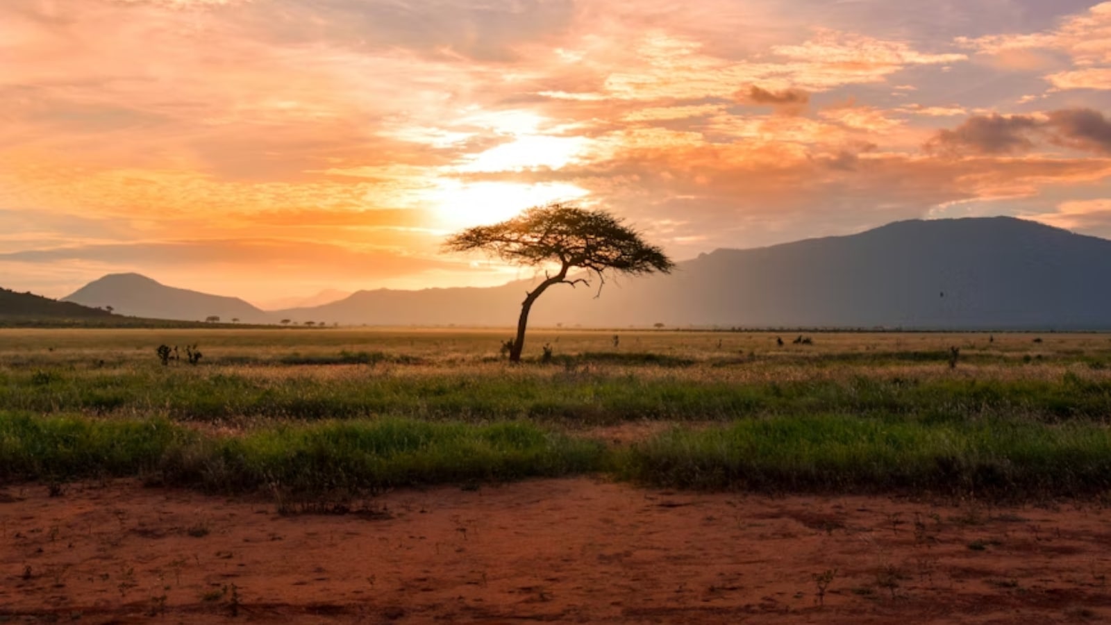 Discover Kenya: Top 10 Must-Visit Destinations for Indian Travelers