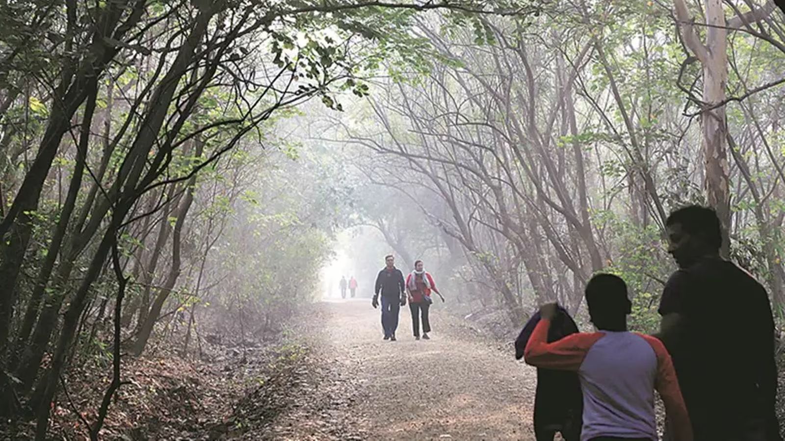 Pune sees sharp rise in minimum temperatures as 2026 begins | Pune News