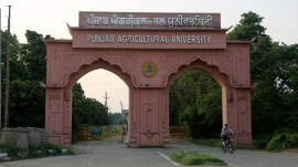 Punjab Agricultural University, Ludhiana, BRICS Network University, PAU enters BRICS network on food security, food security, Indian express news, current affairs