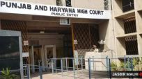 punjab and haryana hc