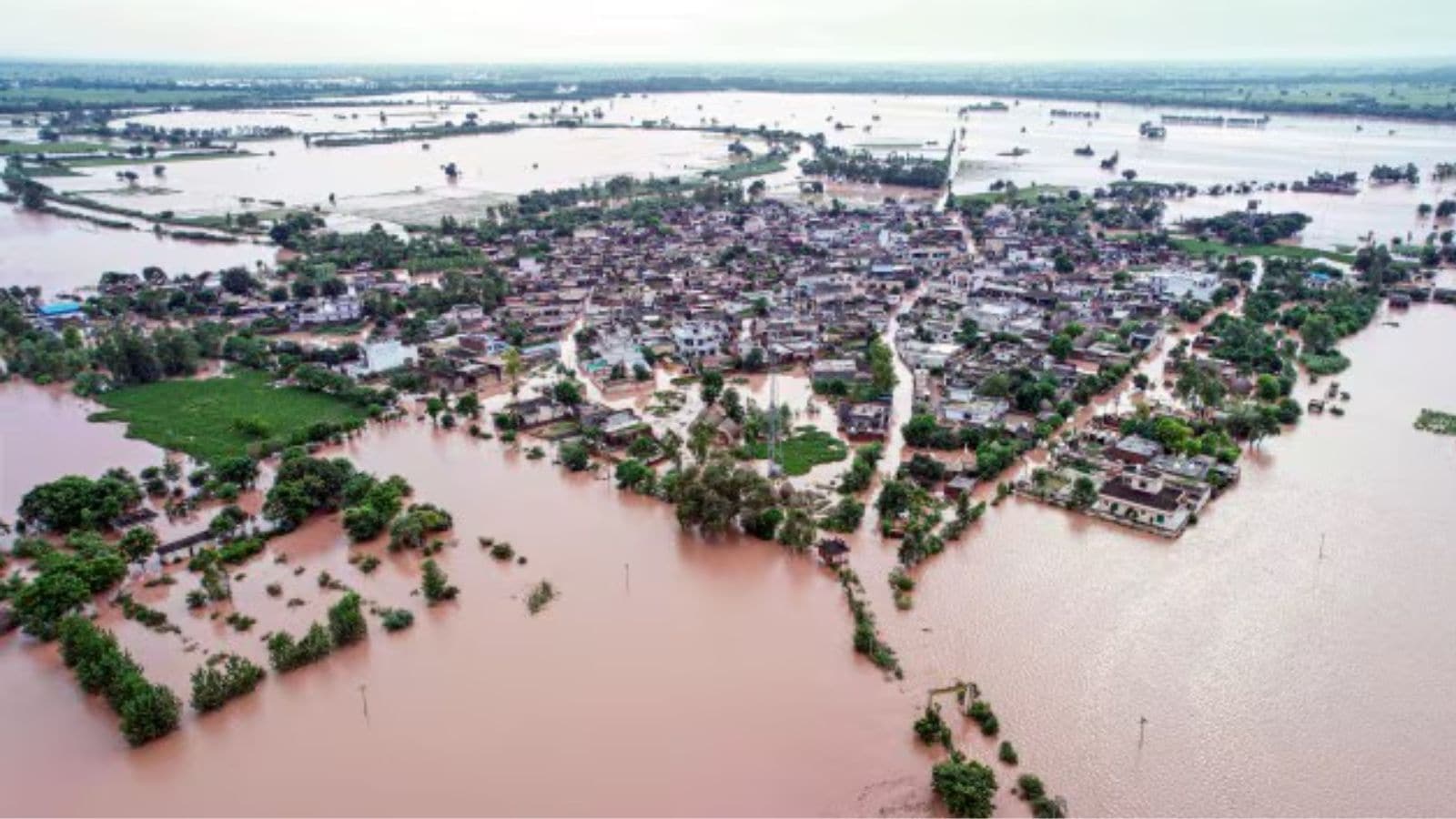 Punjab cuts flood damage claim to Rs 11,855 crore in final report to NDMA