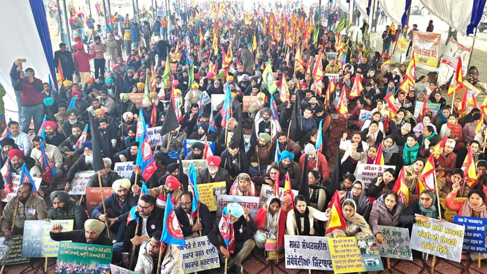 “Poor election mgt”: Punjab teacher unions protest demanding Rs 4 cr for couple who died on way to poll duty