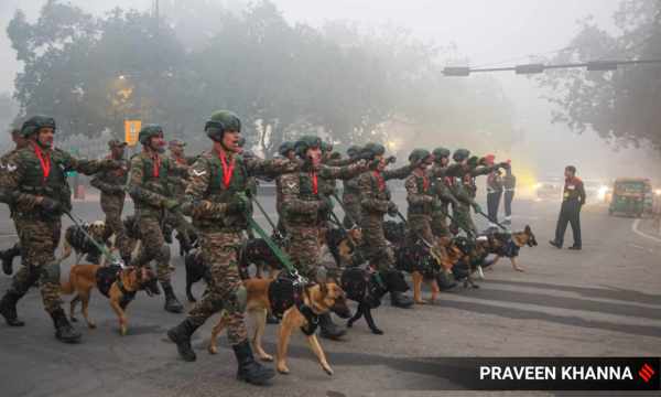 army animal contingent