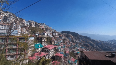 shimla