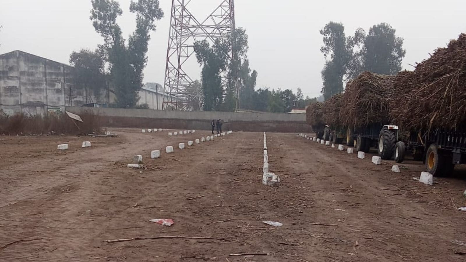 Acute labour shortage hits cane supply to Punjab sugar mills; low yields and shrinking area deepen crisis