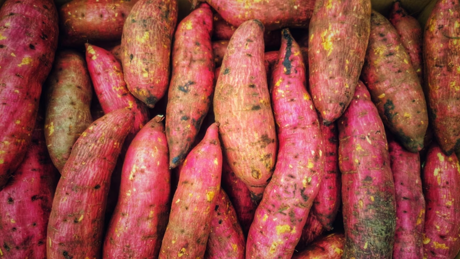 6 Sweet Potato Recipes to Warm Up Your Winter Meals